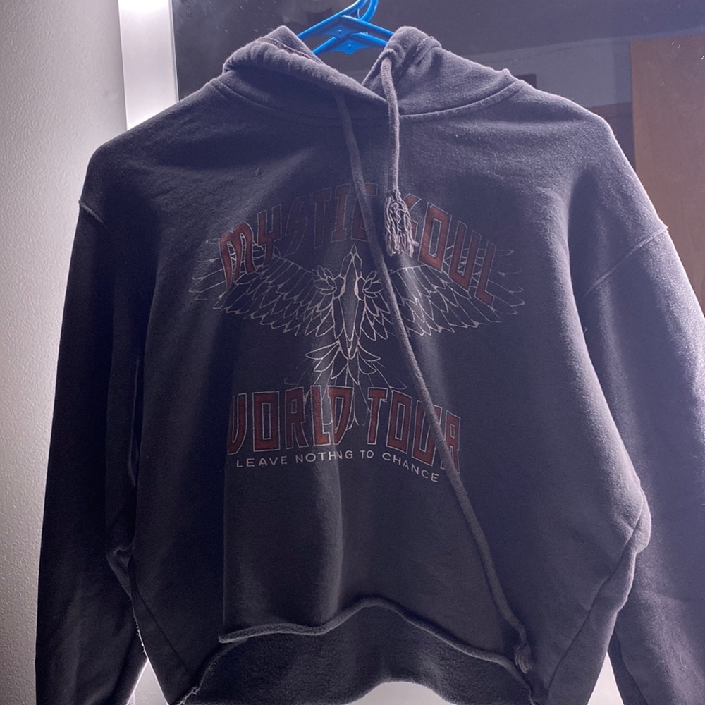 Hollister gray cropped hoodie